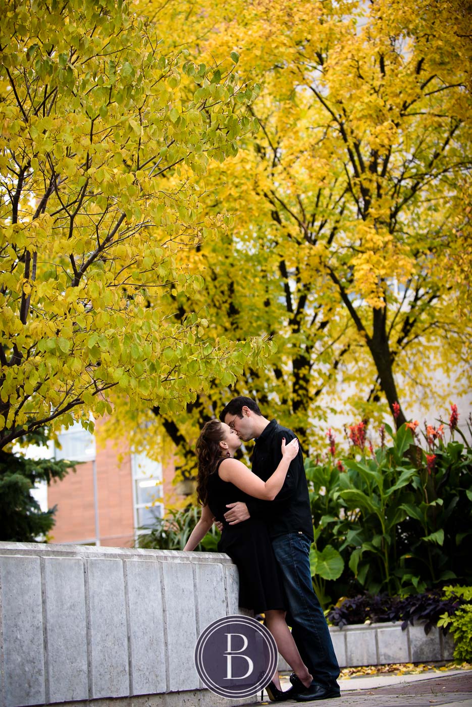 engagement photos kiss by the tree