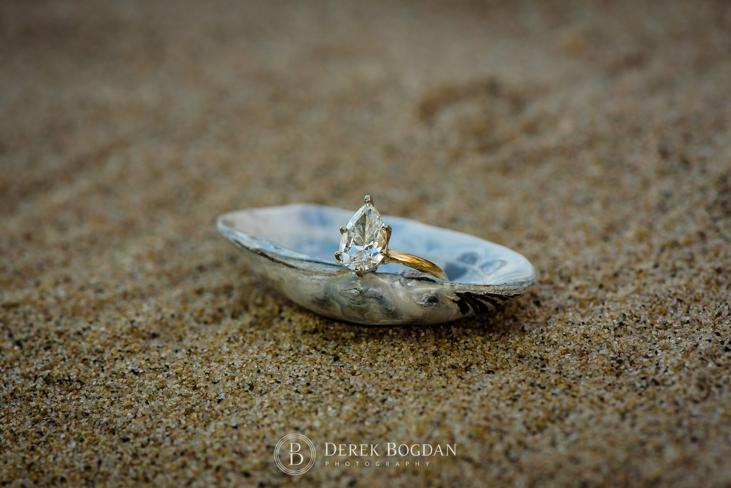 Gimli beach engagement photo session ring sea shell
