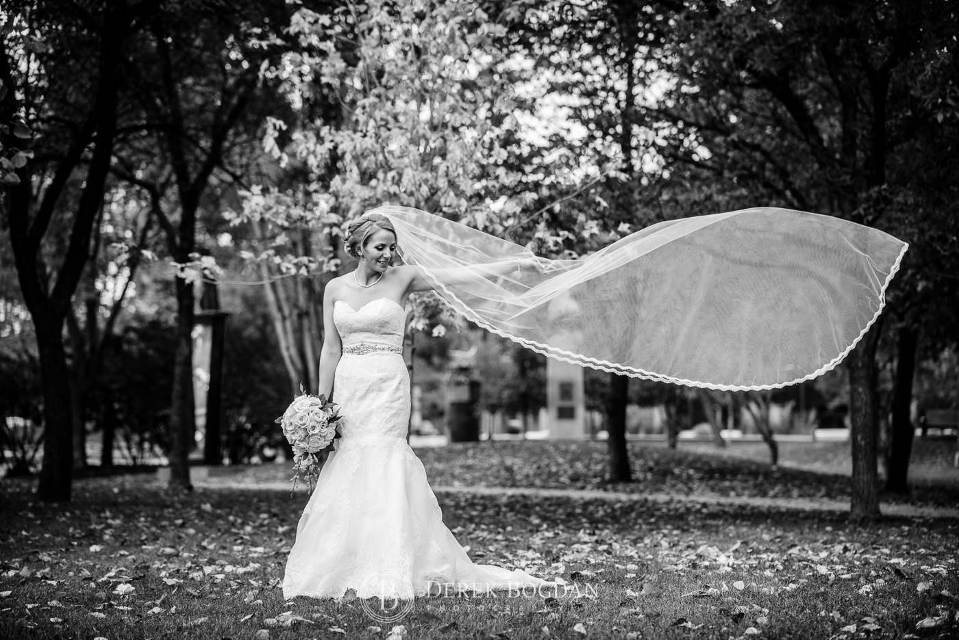 Winnipeg bride in dress veil