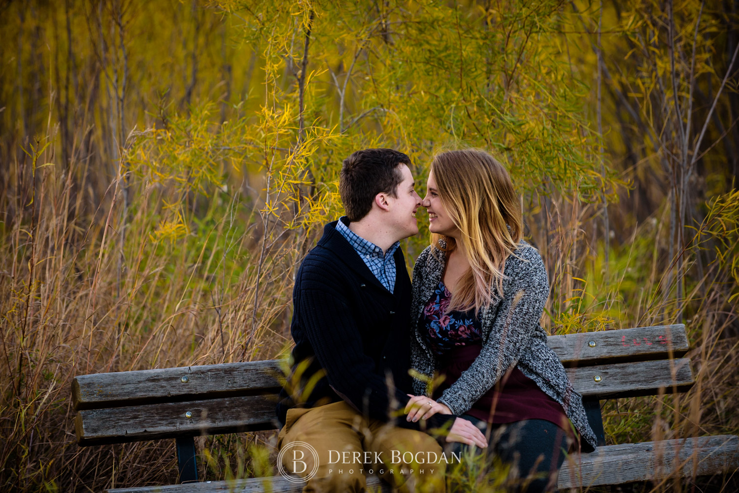 assiniboine forest fall engagement session on the bench