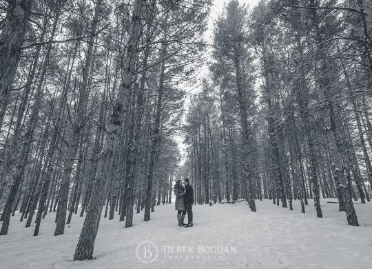 Birds Hill Park Winter Engagement Photos! We had an amazing time taking engagement photos with Bryanna and Jeremy at Birds Hill Park
