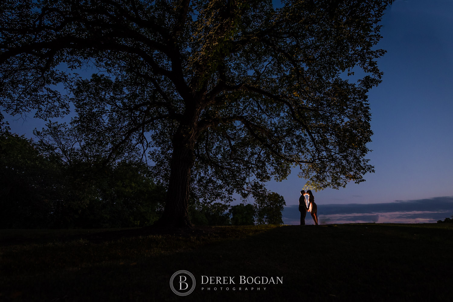 Evening engagement photo kiss by the tree at sunset