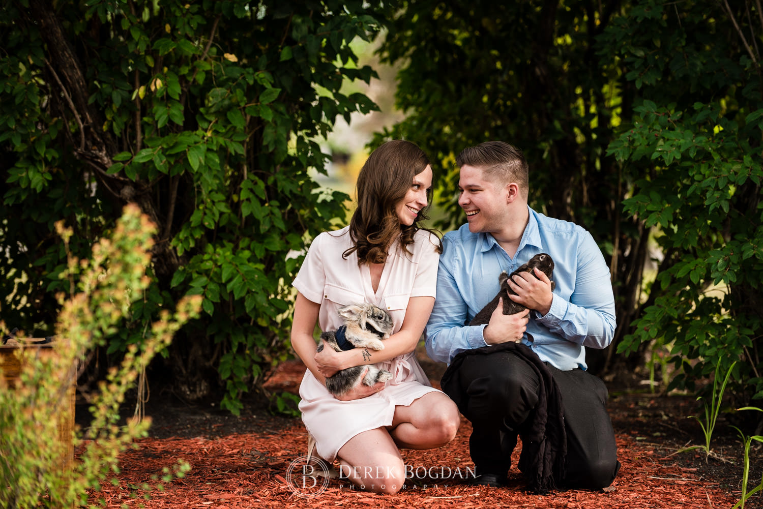 Evening engagement couple with rabbits