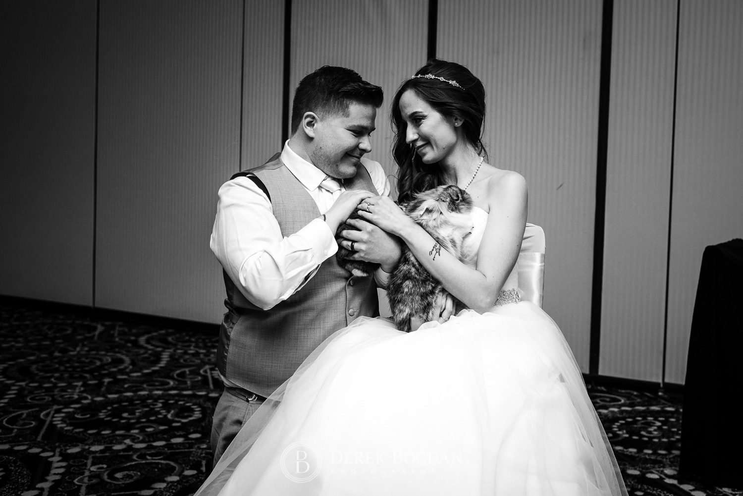 Bride and groom share moment with their pet rabbits Victoria Inn Winnipeg